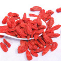 Frutos secos chinse bayas de goji frutos secos lycii